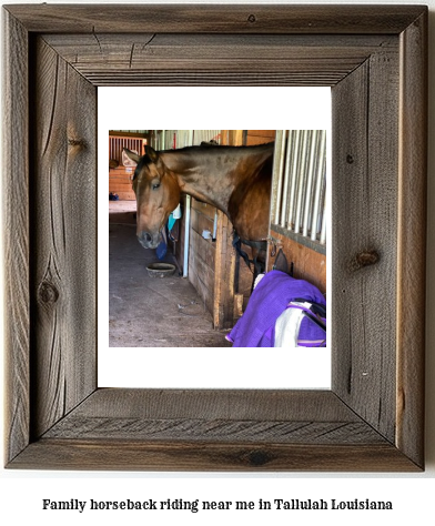 family horseback riding near me in Tallulah, Louisiana